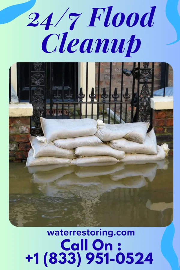 24/7 Flood Cleanup in Grasston, MN