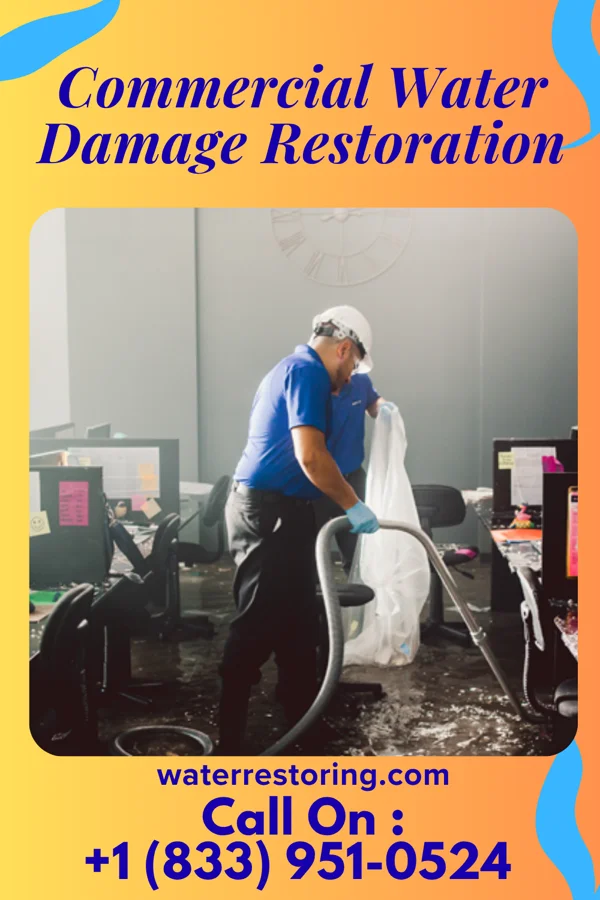 Commercial Water Damage Restoration in Grasston, MN