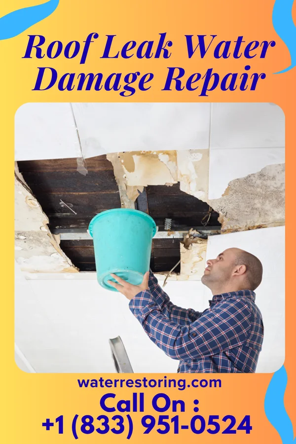 Roof Leak Water Damage Repair in Grasston, MN