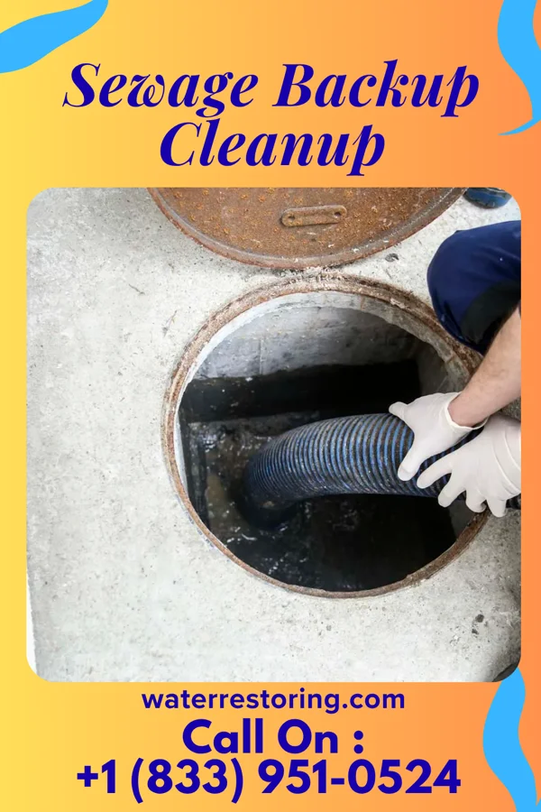 Sewage Backup Cleanup in Grasston, MN