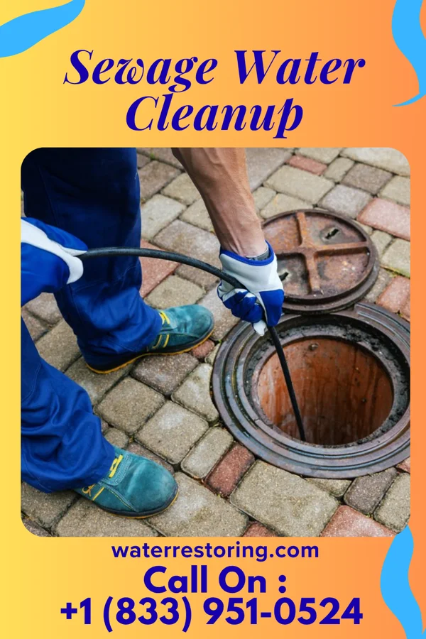 Sewage Water Cleanup in Grasston, MN
